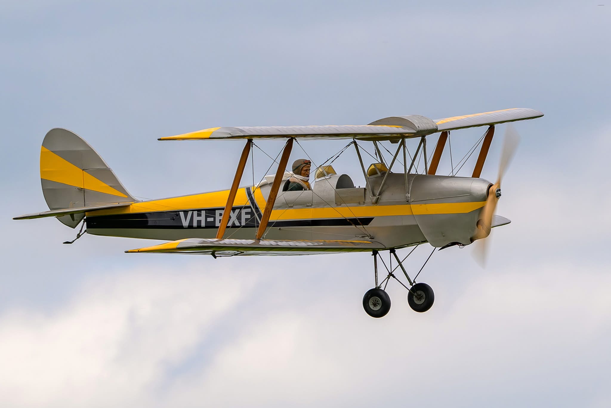Tiger Moth